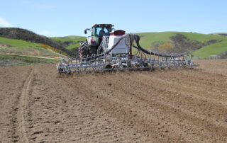 Seed Dispersal option